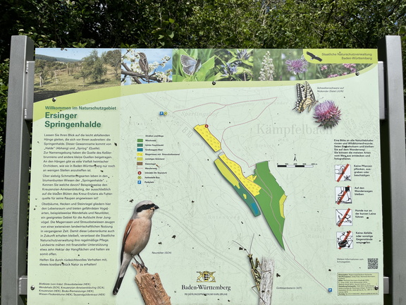 24-05-18 15-15-34 9464